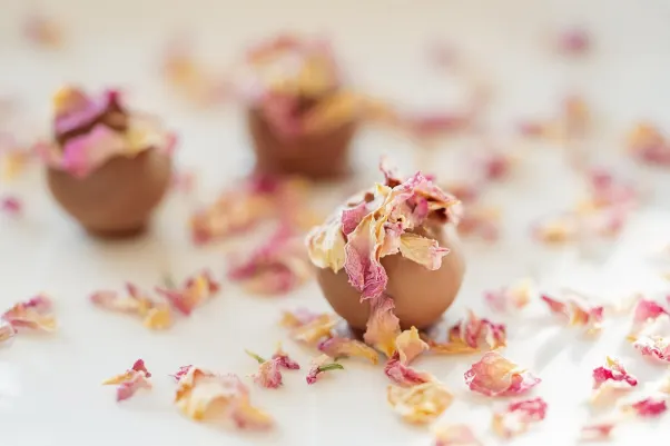 크레수스 카지노 안드로이드/iOS 앱